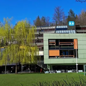 Hermann-gmeiner-akademie