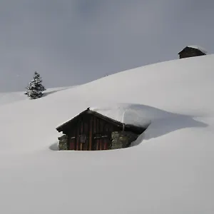 Tschatscha Nova Guest house *
