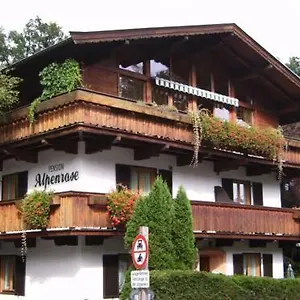 Bed & Breakfast Alpenrose Kitzbuhel