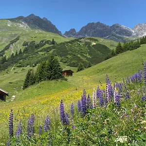 Apartmán Ibex