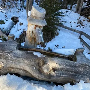 Apartment 4 Personen Alleinlage Am Wald Naehe Skigebiet Hochzeiger