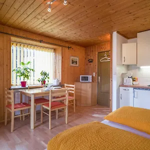 Apartment Rene Zentrales - By Nv-appartements Kirchberg in Tirol