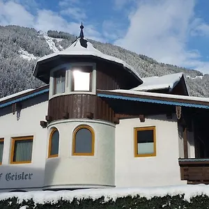 伯格霍夫盖斯勒公寓式酒店 公寓式酒店 弗林肯贝格